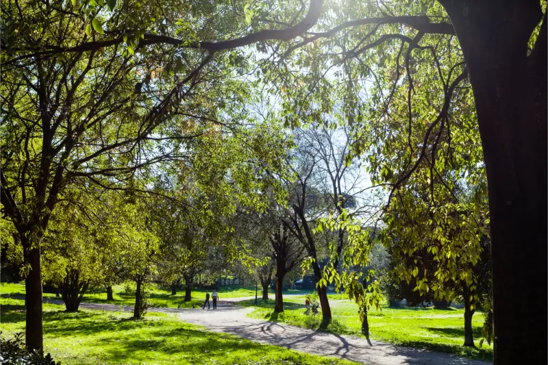 Green Urban Park Villa Borghese Gardens Rome
