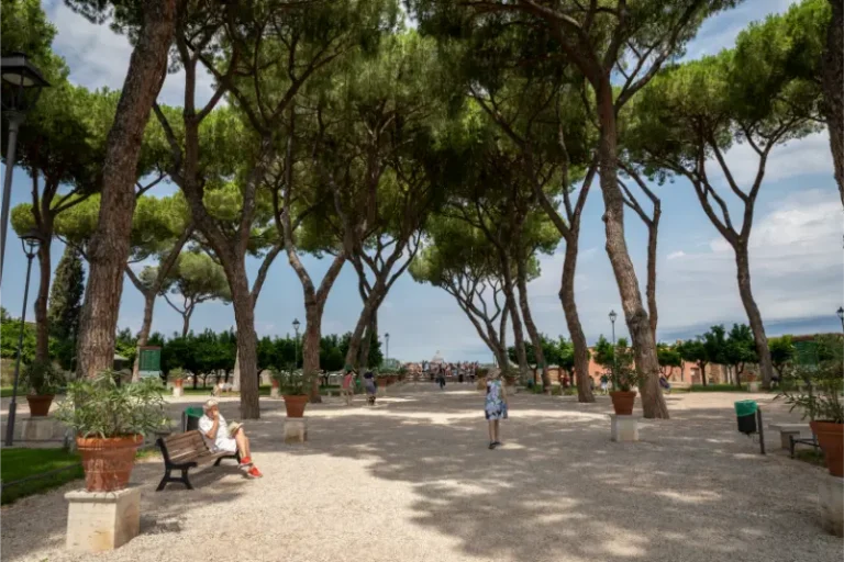 Orange Garden On Aventine Hill Rome