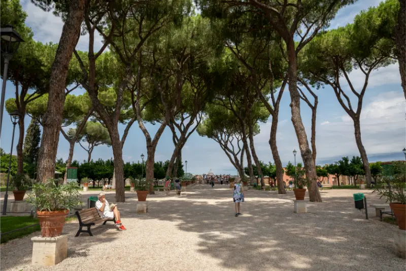 Orange Garden On Aventine Hill Rome