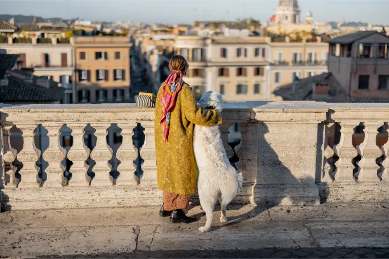 Panoramic viewpoint over Rome